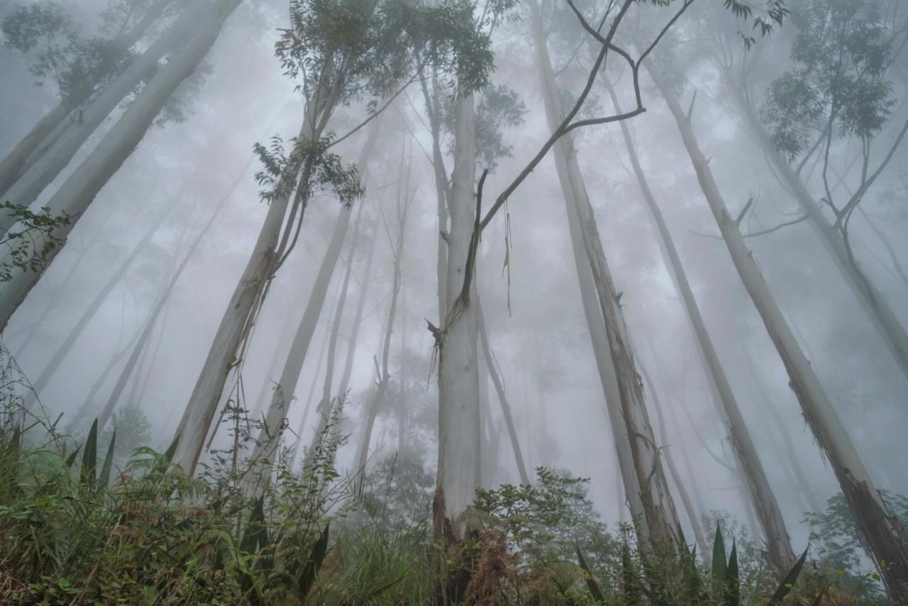 Saffronstays Kurinji Estate Kodaikanal Luaran gambar